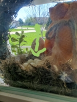 Morning Announcements 4/15/20 and Signs of Spring at Mrs. Millburg's house.