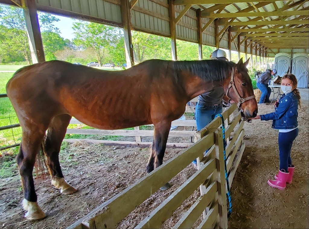 student and horse