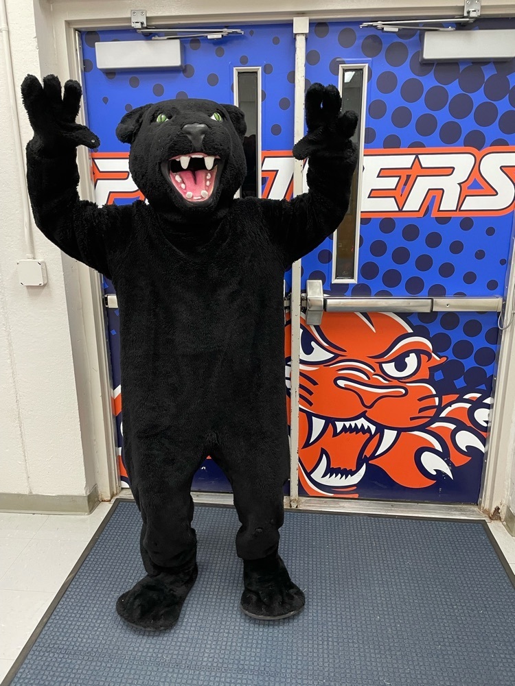 Panther