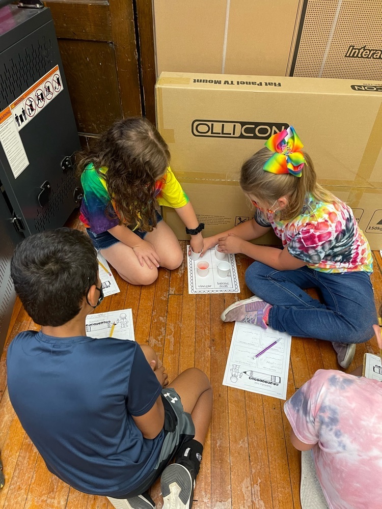 Working on the scientific method.