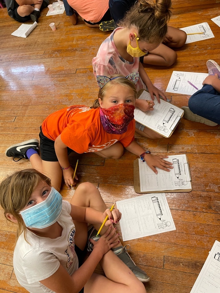 Working on the scientific method.