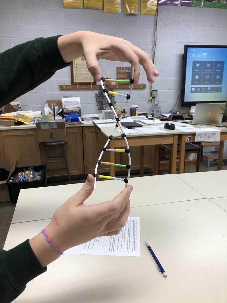 Ag Science DNA Model