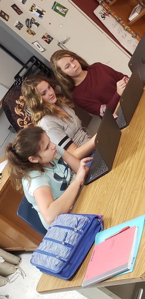Seventh grade students evaluated websites to determine whether or not they are credible sources of information for their upcoming research papers.