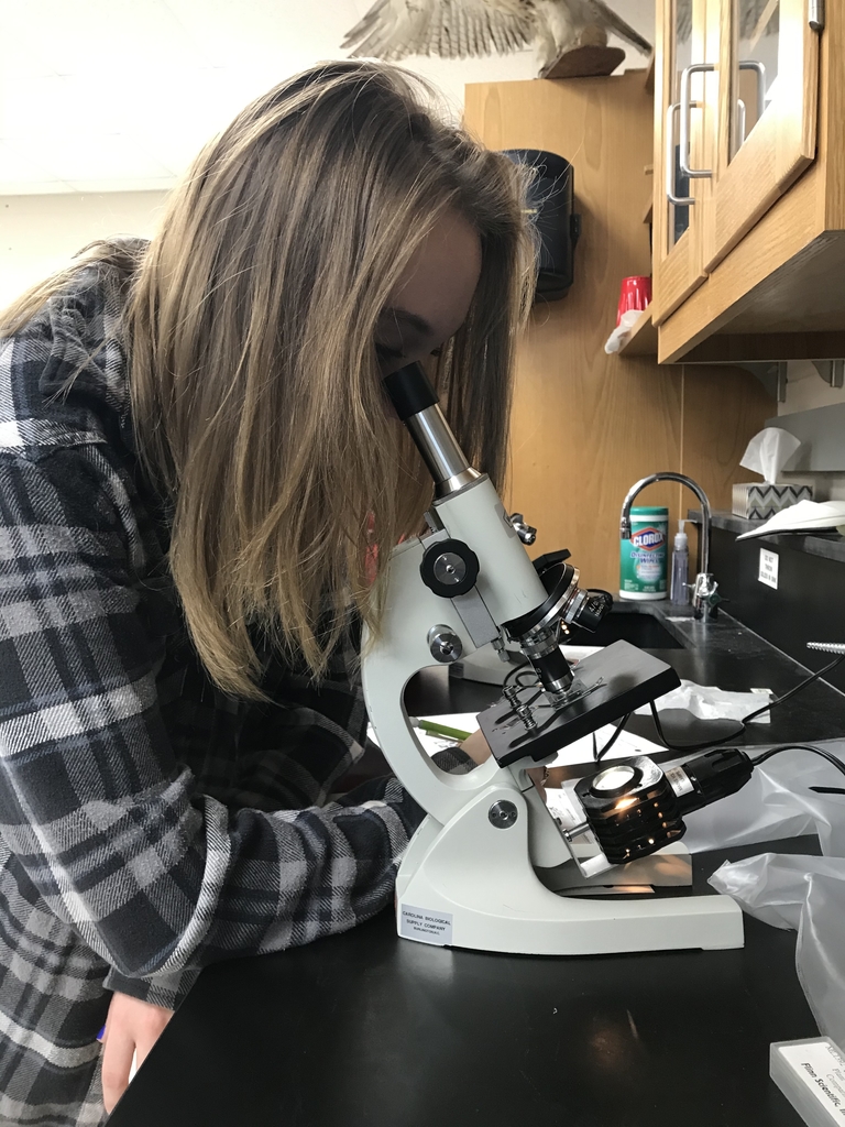 Biology student using a microscope.